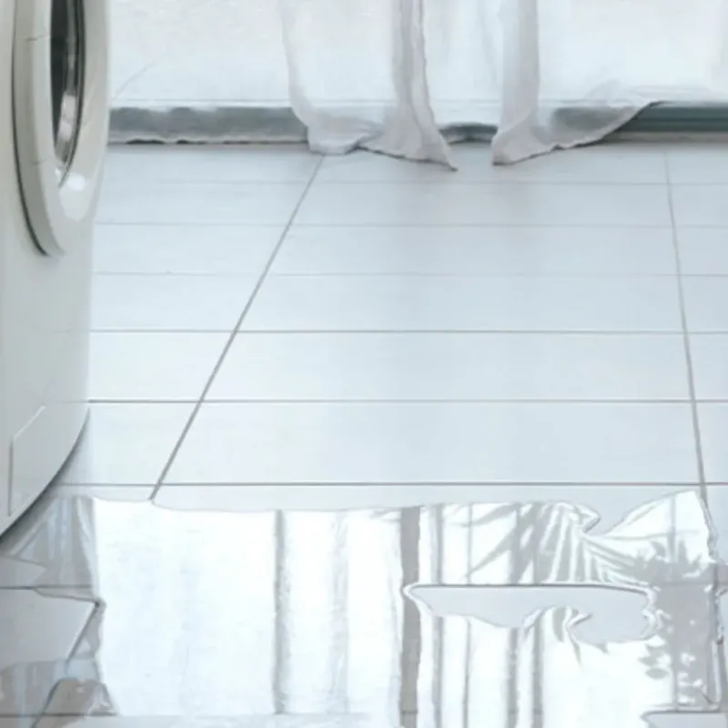 Appliance Leak Cleanup in Central City, IL