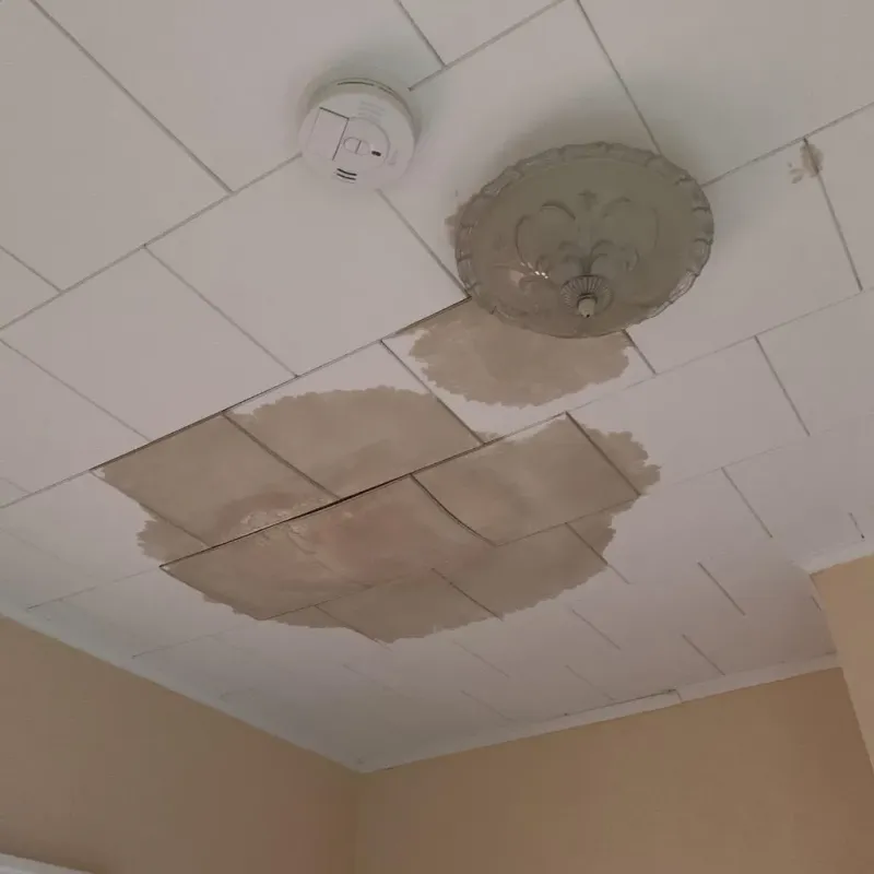 Ceiling Water Damage Repair in Central City, IL