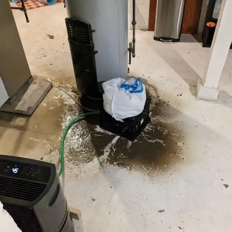 Sewage Backup Cleanup Service in Central City, IL
